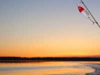 Reel Fishing Striper Guide | Fishing Rates