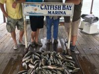 Stripers Were Fired Up This Morning