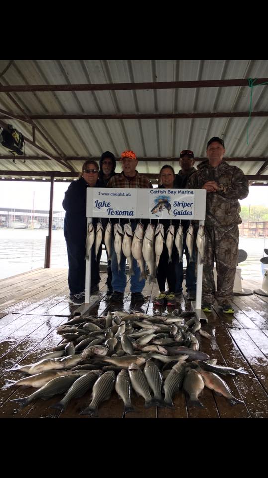 Lake Texoma Striper Fishing Reel Fishing Striper Guide Guided