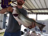 Reeling In The Big Fish