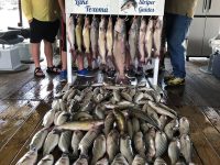 Stripers On Lake Texoma Are Biting
