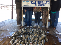 A Great Day With A Great Family And Friends