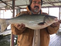 Lake Texoma Striper Fishing