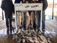 Two Boat Combo Trip On Texoma