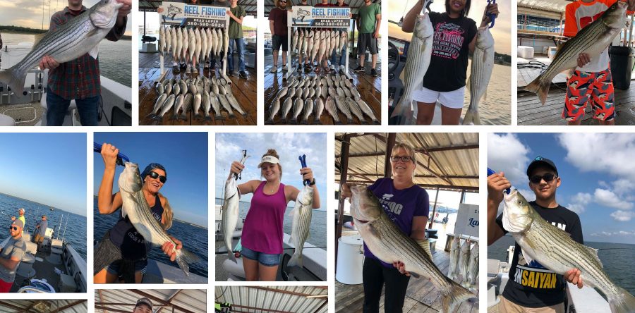 Reel Fishing On Lake Texoma Striper Guide Service